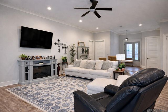 26234 Riverscape Dr, Springfield, LA 70462
