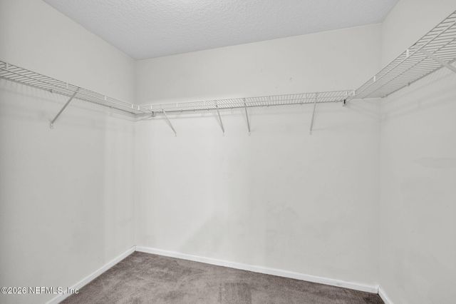 10810 STANTON HILLS Drive E, Jacksonville, FL 32222