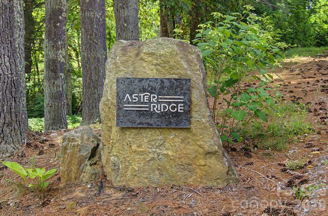 34 Aster Ridge Drive, Waynesville, NC 28786