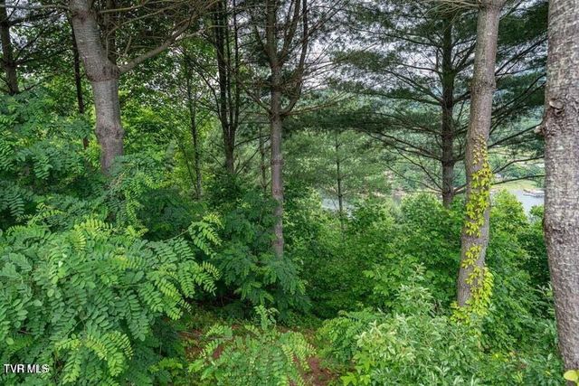 Lot 68 Cowan Town Road, Butler, TN 37640