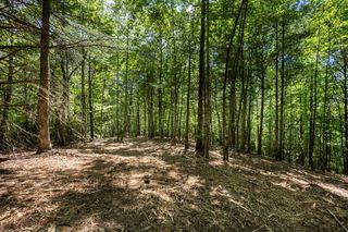 40 Donley Road, Murphy, NC 28906