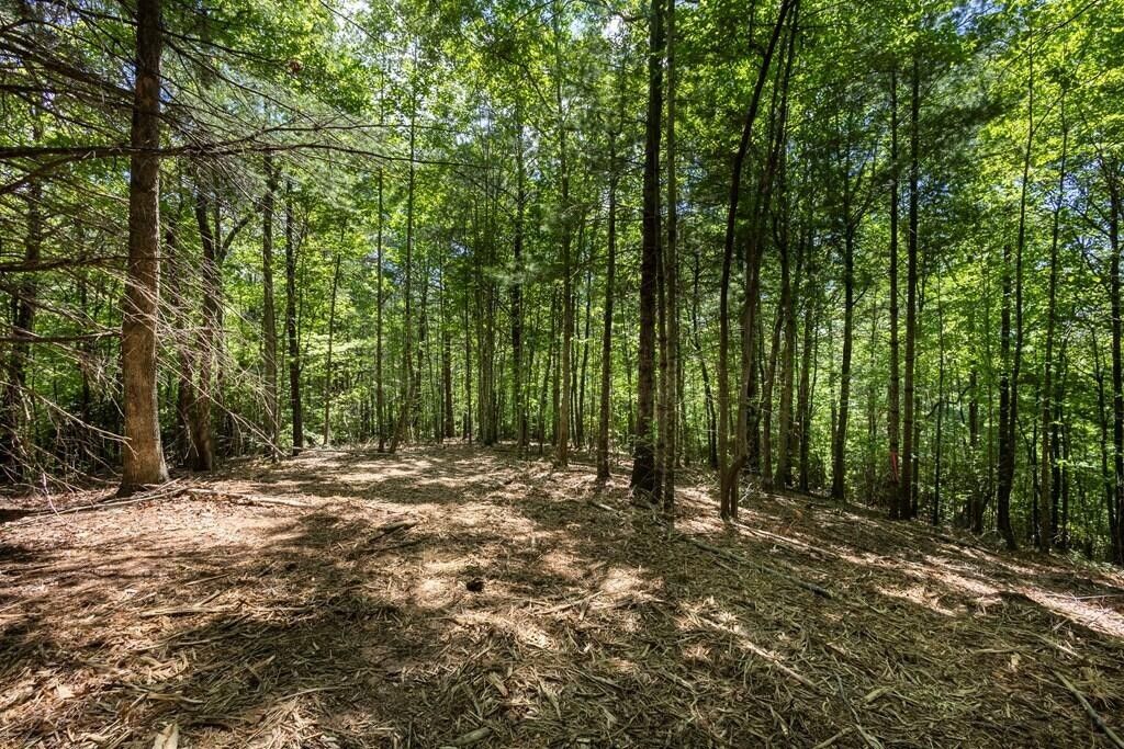 40 Donley Road, Murphy, NC 28906