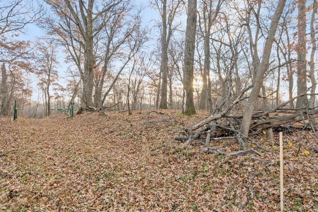 TBD 97 1/2 Street NW, Zimmerman, MN 55398 — photo 4