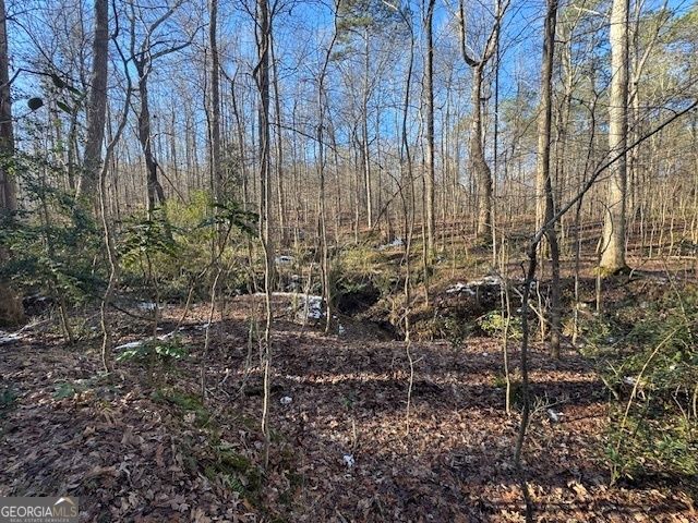 2581 Union Church Road SW, Stockbridge, GA 30281