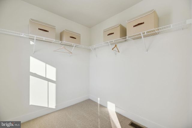 108 POMO LN, Winchester, VA 22602