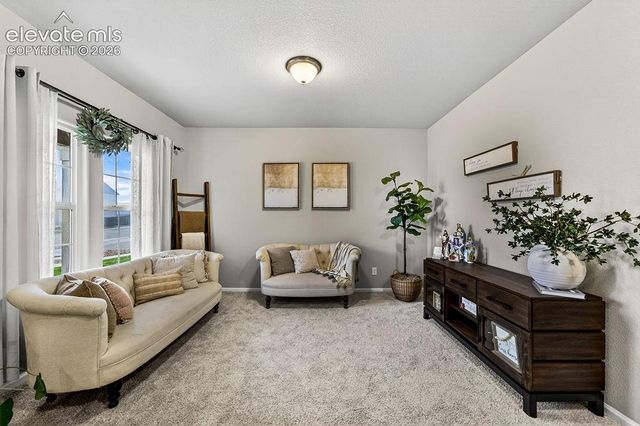 10087 Beckham Street, Peyton, CO 80831