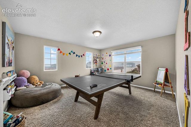10087 Beckham Street, Peyton, CO 80831