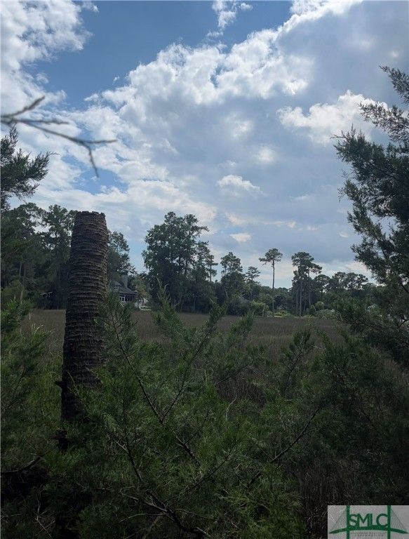 Image 1 of property listing at 000000 Perry Cove, Savannah, GA 31410
