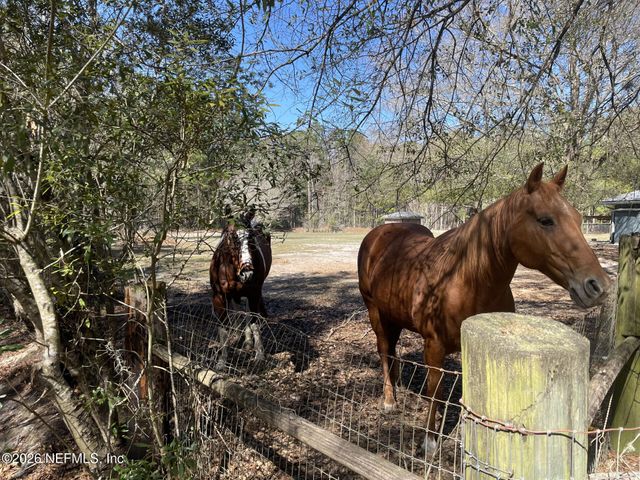 524 JILL Street, Middleburg, FL 32068