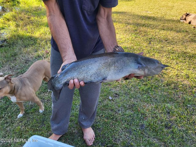 524 JILL Street, Middleburg, FL 32068