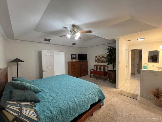 247 Rebecca Drive, Alamo, TX 78516