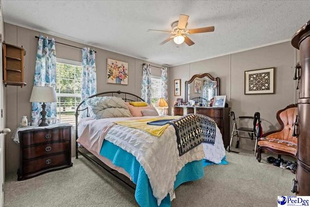 9760 Douglas Swamp Rd, Lynchburg, SC 29080