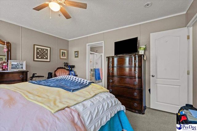 9760 Douglas Swamp Rd, Lynchburg, SC 29080