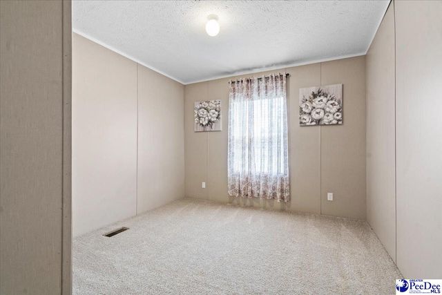 9760 Douglas Swamp Rd, Lynchburg, SC 29080