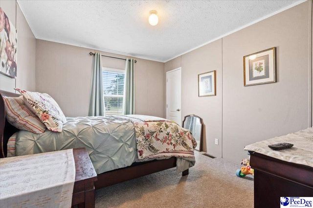 9760 Douglas Swamp Rd, Lynchburg, SC 29080