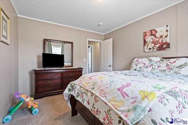 9760 Douglas Swamp Rd, Lynchburg, SC 29080