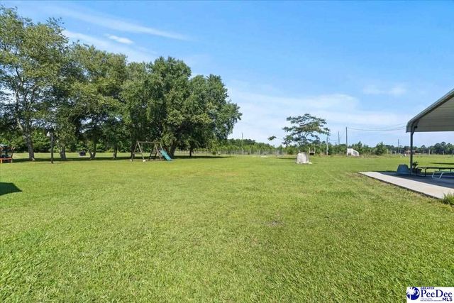 9760 Douglas Swamp Rd, Lynchburg, SC 29080