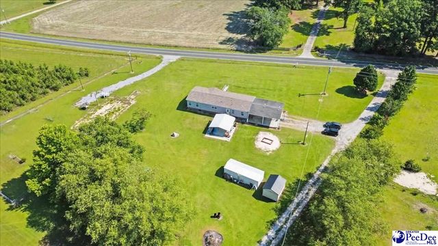 9760 Douglas Swamp Rd, Lynchburg, SC 29080