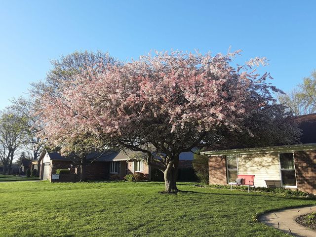 1117 Scenic Court 1117 Scenic Court, Troy, OH 45373