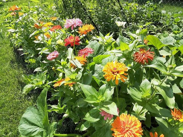 1117 Scenic Court 1117 Scenic Court, Troy, OH 45373