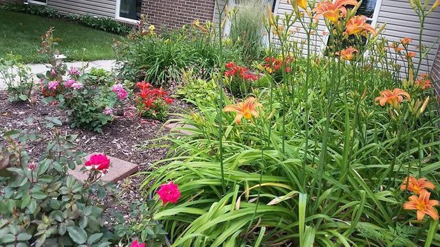 1117 Scenic Court 1117 Scenic Court, Troy, OH 45373