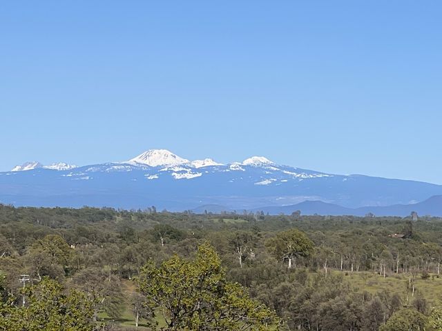 18720 Cobblestone Drive, Cottonwood, CA 96022