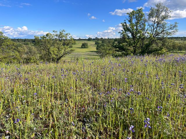 18720 Cobblestone Drive, Cottonwood, CA 96022