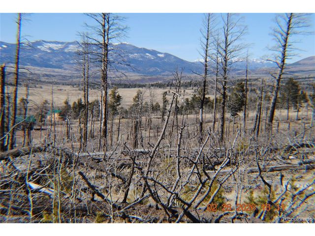 1043 saul Pl, Fort Garland, CO 81133