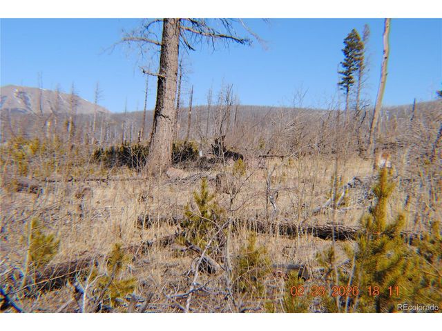 1043 saul Pl, Fort Garland, CO 81133