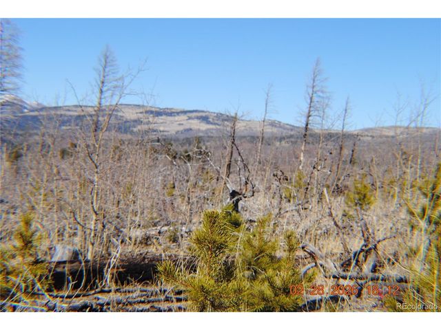 1043 saul Pl, Fort Garland, CO 81133