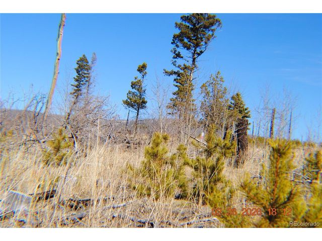 1043 saul Pl, Fort Garland, CO 81133