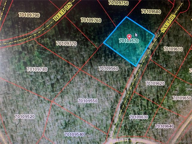 1043 saul Pl, Fort Garland, CO 81133