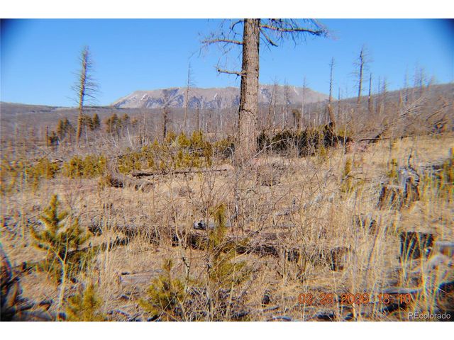 1043 saul Pl, Fort Garland, CO 81133