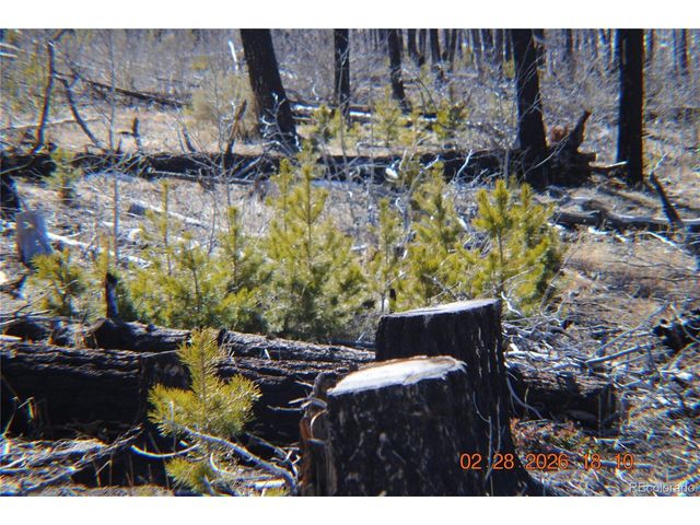1043 saul Pl, Fort Garland, CO 81133