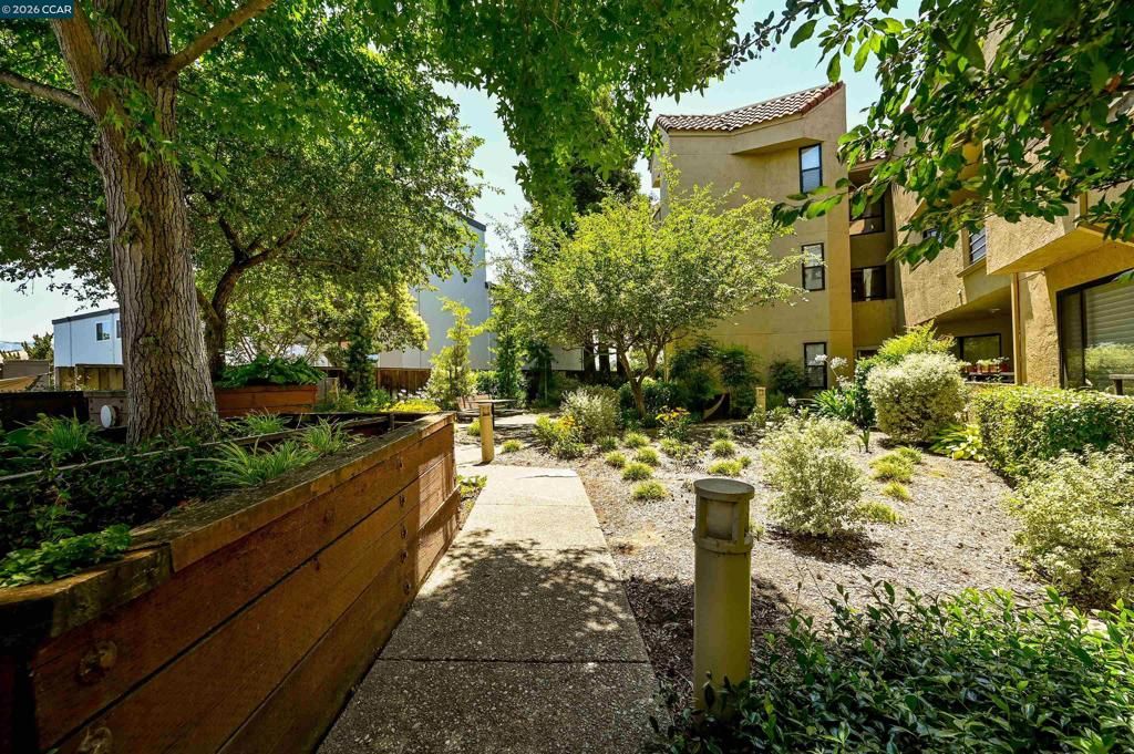 Image 25 of property listing at 1201 Alta Vista Dr 209, Walnut Creek, CA 94596
