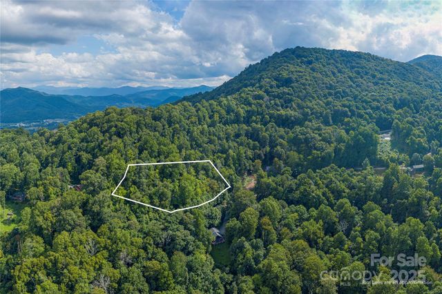 00 Pitch Fork Cove 525, Waynesville, NC 28785