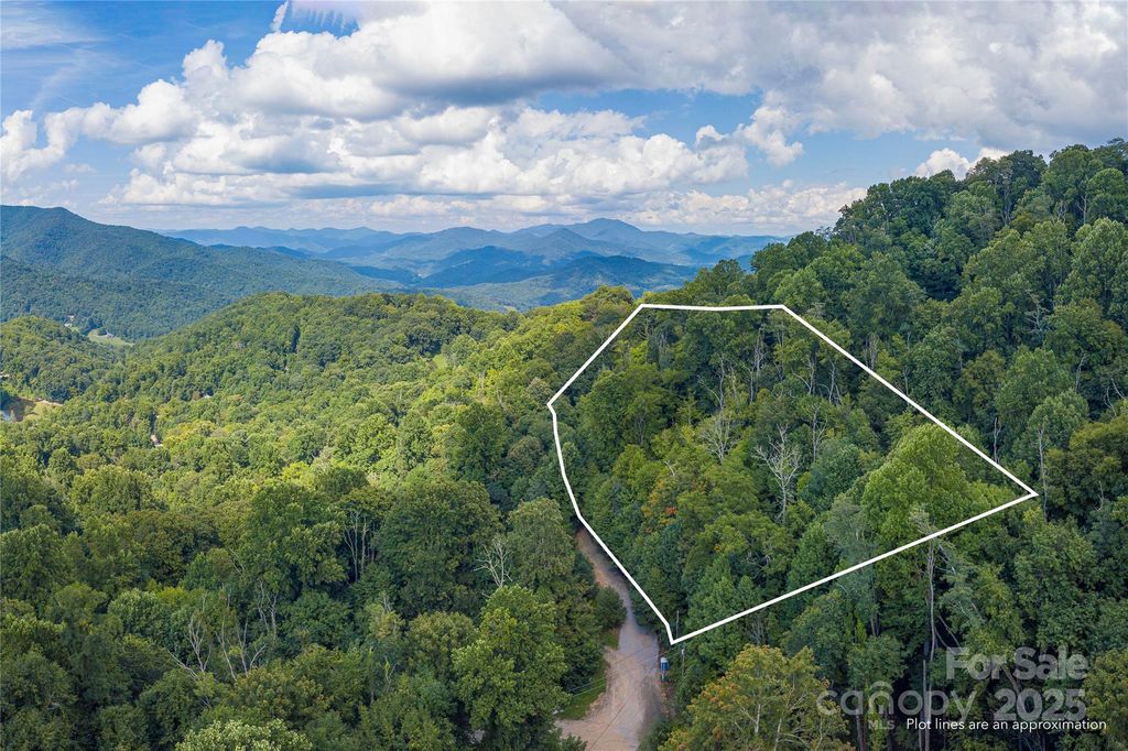 00 Pitch Fork Cove 525, Waynesville, NC 28785