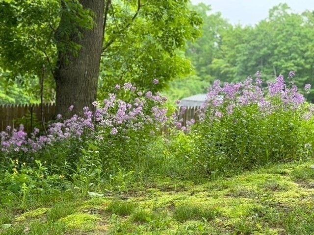 768 Salem, Groveland, MA 01834