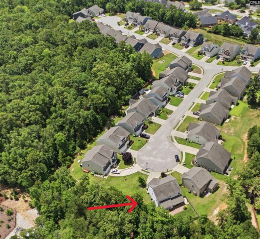 435 Serene Court, Irmo, SC 29063