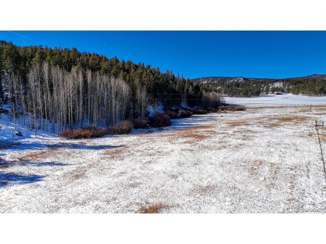 36 Valley Cir, Guffey, CO 80820