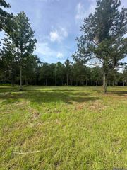 Tract B La Hwy 16, Denham Springs, LA 70706