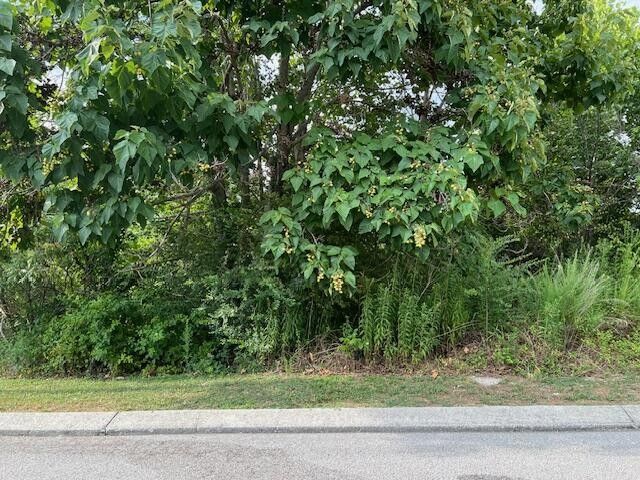 21182112 Short Leaf Lane, Soddy Daisy, TN 37379