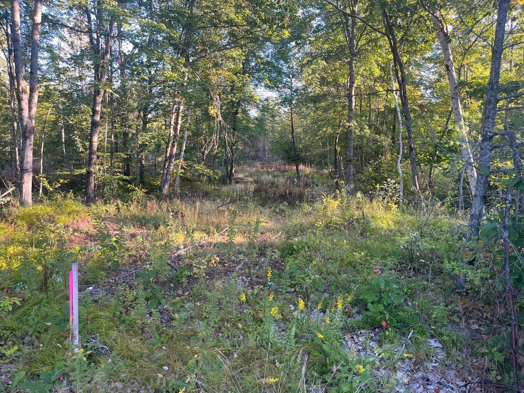 0 Flagg Mill Road, Naples, ME 04055 — exterior