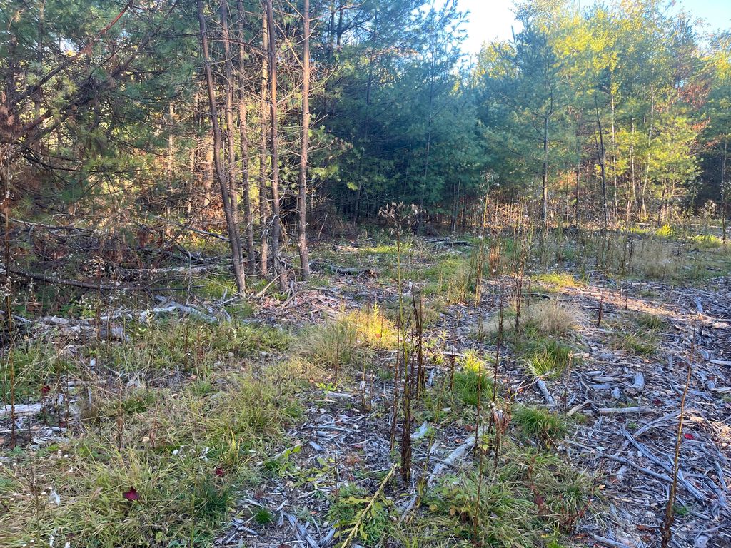 0 Flagg Mill Road, Naples, ME 04055 — photo 3