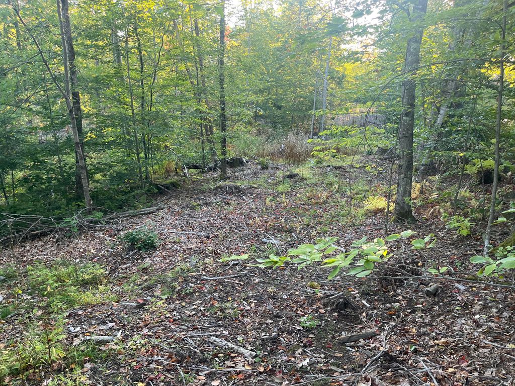 0 Flagg Mill Road, Naples, ME 04055 — photo 4