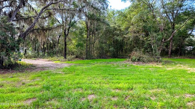 115 Betsy Ross Place, Satsuma, FL 32189