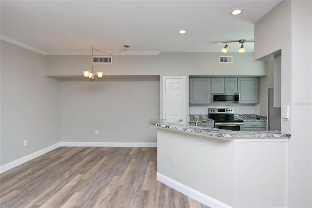 9088 LAKE CHASE ISLAND WAY 9088, Tampa, FL 33626