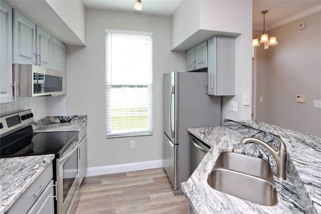 9088 LAKE CHASE ISLAND WAY 9088, Tampa, FL 33626