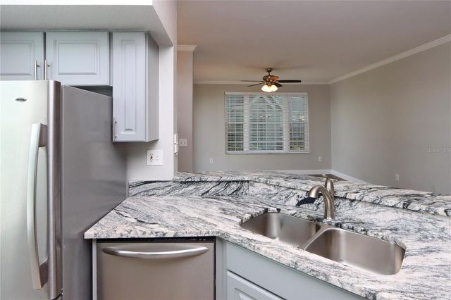 9088 LAKE CHASE ISLAND WAY 9088, Tampa, FL 33626