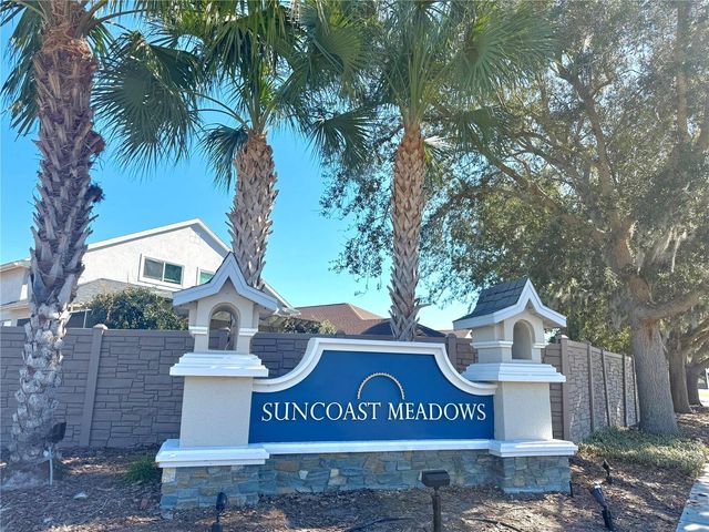 17248 POPPY FIELDS LANE, Land O Lakes, FL 34638